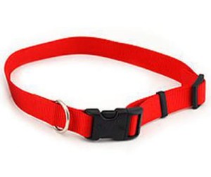 Obroża czerwona 20mm, 40-65cm