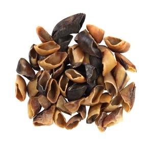 Kopyto cielęce 1 szt ciemne