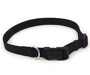 Obroża czarna 25mm, 55-80cm