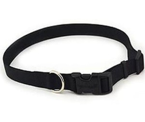 Obroża czarna 20mm, 40-65cm